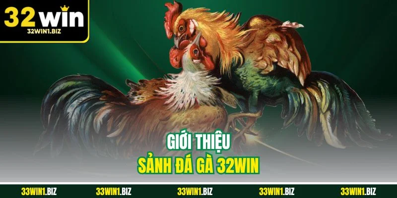 Giới thiệu những thông tin cần biết về sảnh đá gà 32WIN