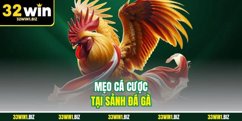 Những mẹo chơi hay cần nằm lòng